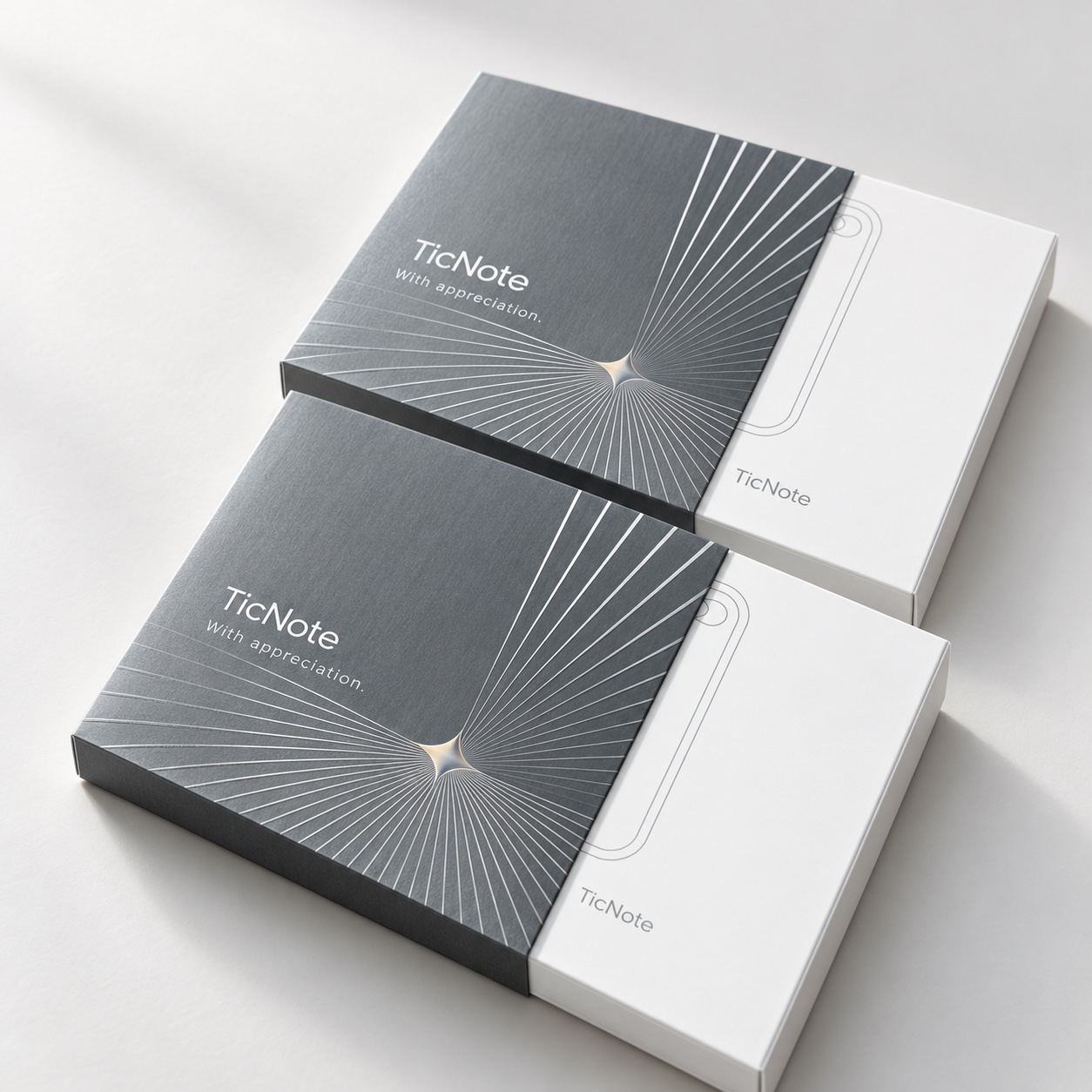 Illustrative studio rendering of two white TicNote product boxes with silver-gray printed sleeves; customer branding omitted